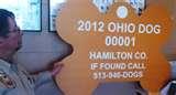 Images of County Auditor Hamilton County Indiana